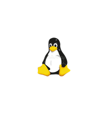 Linux